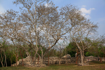 View of Xpujil archeological site mayan ruins, Campeche México
