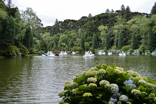 Ground view of Lago Negro lake and some paddleboats in the water. Gramado, south of Brazil.