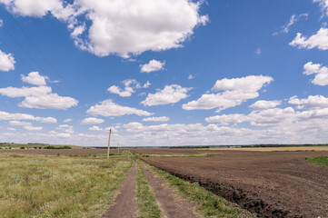 Fototapeta na wymiar road through the field in summer in good weather