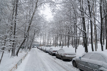 Blizzard on the road and poor visibility in the city, cars in the snow. 