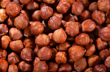 Hazelnut nuts, organic dry fruit - Corylus avellana.