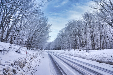 Obraz premium 【冬ドライブイメージ】霧氷に包まれた奥日光の道