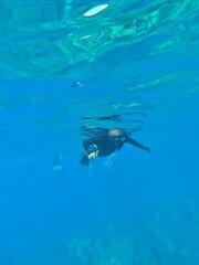 Obraz na płótnie Canvas Snorkeling at Molokini Crater, Maui