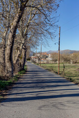Road to the mountains near the village