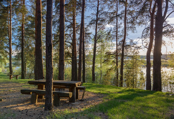 bench for relaxation in a pine forest on the bank of the river in a picturesque place 