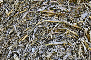 Rolled up bale of straw. 