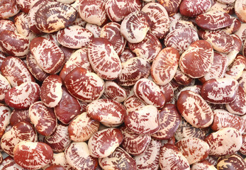 Pinto beans isolated on  background