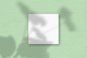 The square sheet of white textured paper on the green wall background. Mockup overlay with the...