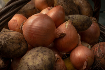 Potatoes and onions in a wicker basket. Healthy food.