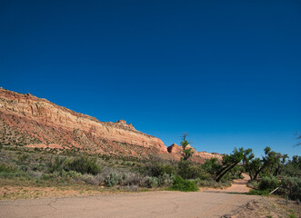 Bäume an der Straße mit Bergkette im Hintergrund