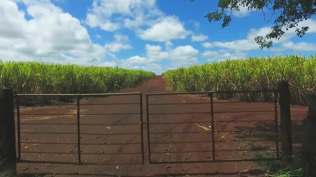 aerial image of Brazil's agricultural plantation