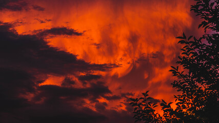 Orange puffy clouds after a storm during golden hour. 