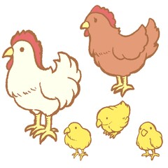 牧場のにわとり