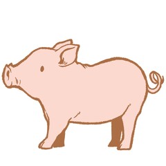 牧場の豚