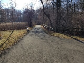 Obraz premium Paved walking path with park bench in wooded public park