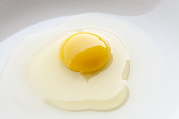 新鮮で健康な生卵