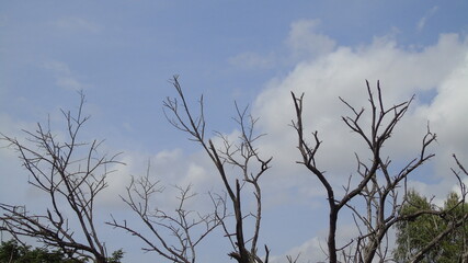 sky and clouds
