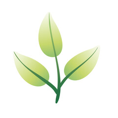 branch with leafs hand draw style icon