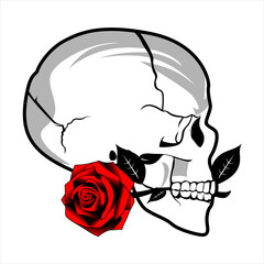 a skull bit red rose vector 