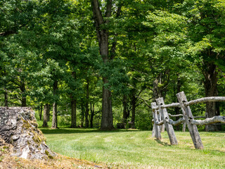 Tree stump and wooden fence in front of a wooded tree line with a green field of grass in Lauren Hill State Park in Pennsylvania in the Laurel Highlands, beauty in nature and landscapes.