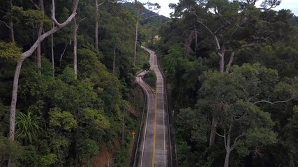 Above asphalt road in beautiful lush green jungle at tropical island of  koh Phangan, Thailand