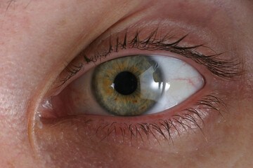 close up of a female eye