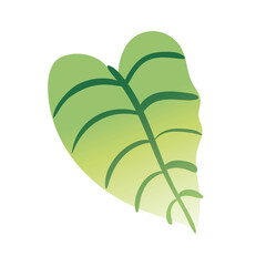 leaf plant hand draw style icon
