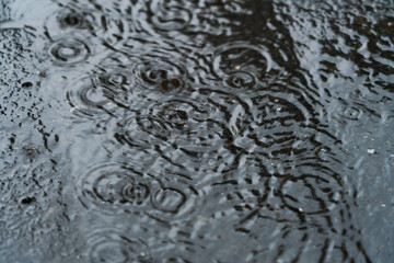 雨
