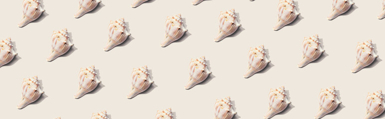 Summer concept with seashells overhead view - flat lay