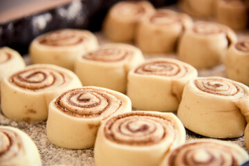 Unbaked cinnamon rolls, ready to go into the oven.