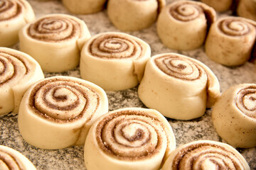 Classic cinnamon rolls before baking, placed in rows on an oven tray