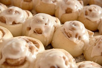 Freshly made cinnamon rolls with icing