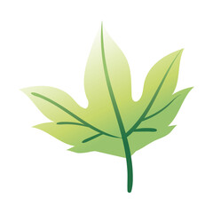 leaf palm hand draw style icon