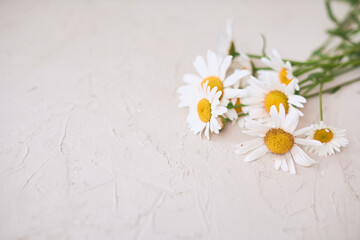 Fototapeta na wymiar White flowers on wooden table, dust 