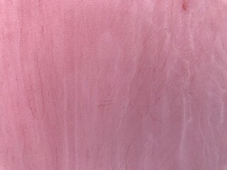 Pink color Painted background for interiors of wall of residential buildings