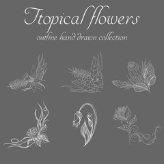 Tropical flowers. Outline hand drawn bundle. Outline vector collection for decorative design. Doodle line graphic design. Hand drawn vector set. Exotic flowers. Freehand illustration set