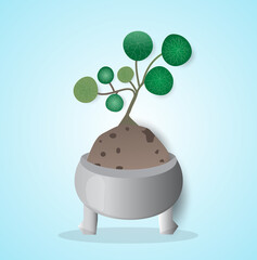 Stephania erecta in the pot on blue sky background,vector illustration.Ornamental plant for decor.
