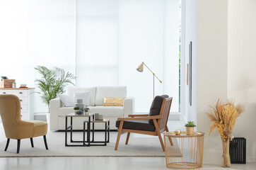 Living room interior with stylish furniture. Idea for design