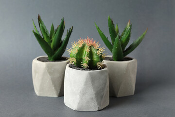 Beautiful artificial plants in flower pots on grey background