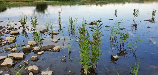 An der Elbe