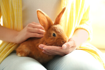 Young woman with adorable rabbit indoors, closeup. Lovely pet