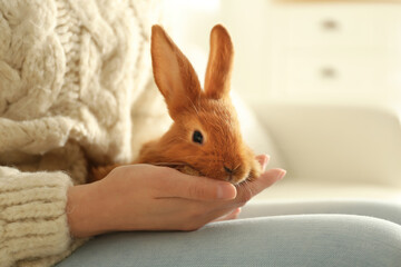 Young woman with adorable rabbit indoors, closeup. Lovely pet