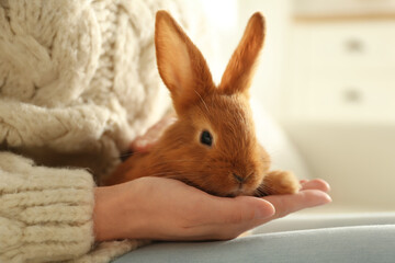 Obraz na płótnie Canvas Young woman with adorable rabbit indoors, closeup. Lovely pet