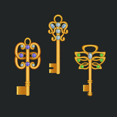 Vector illustration Golden keys decoration decor with stones diamonds