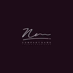 NE initials signature logo. Handwriting logo vector templates. Hand drawn Calligraphy lettering Vector illustration.