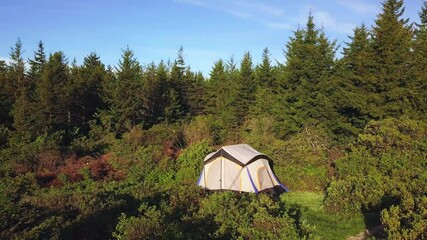 Dispersed Camping Tent in Bushed And Pine Trees In Mountains Aerial Cinematic 4k