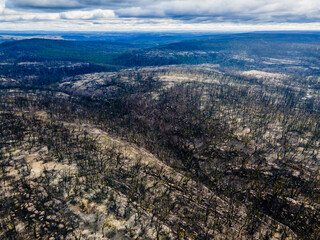 Damage to Australian countryside after wild bush fires 
