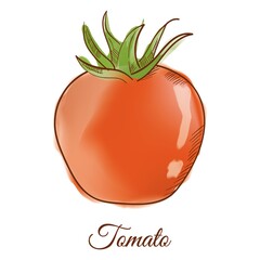 Tomato
