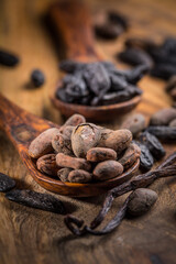 Fragrant tonka and cocoa beans with vanilla beans for baking and cooking