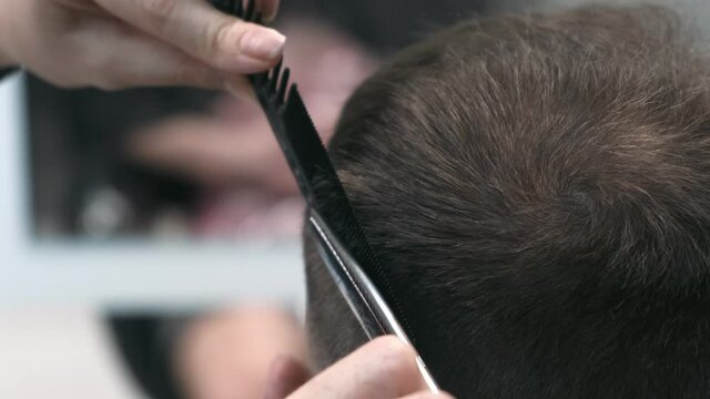Professional female hairstylist combing and cutting man hair. Close up, slow motion